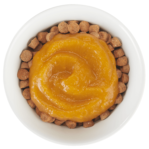 Tiki Cat® Tummy Topper™ Pumpkin Puree & Wheatgrass, 1.5oz