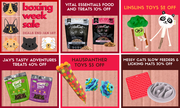 Boxing Week Deals