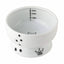 Raised Cat Water Bowl (Cat)