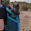 “The Fat Cat” Cat Backpack in Aqua