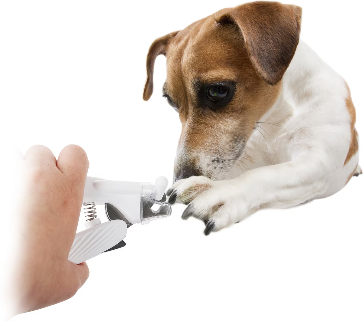 ALL FOR PAWS Pet Salon LED Nail Clipper