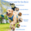 ALL FOR PAWS Meta Ball Wiggle Holey Roller