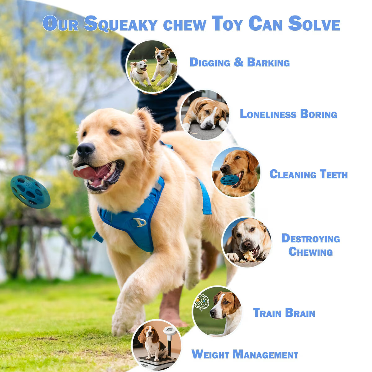 ALL FOR PAWS Meta Ball Wiggle Holey Roller