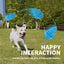 ALL FOR PAWS Meta Ball Holey Egg Indestructible