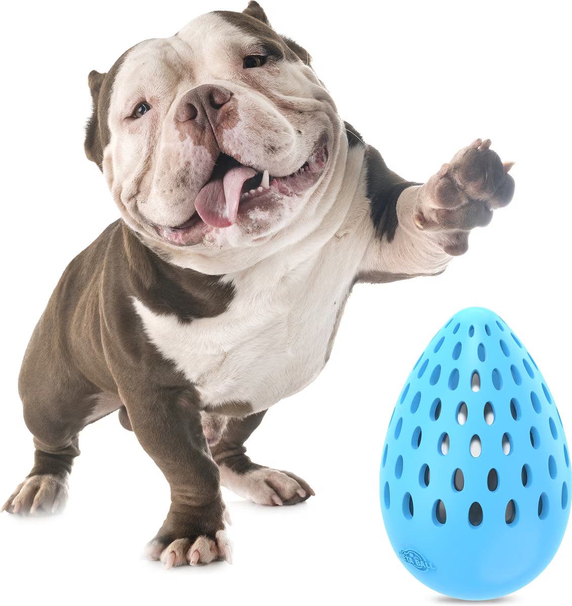 ALL FOR PAWS Meta Ball Holey Egg Indestructible