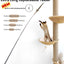CATWANT Chirping Edition extra long cat teaser