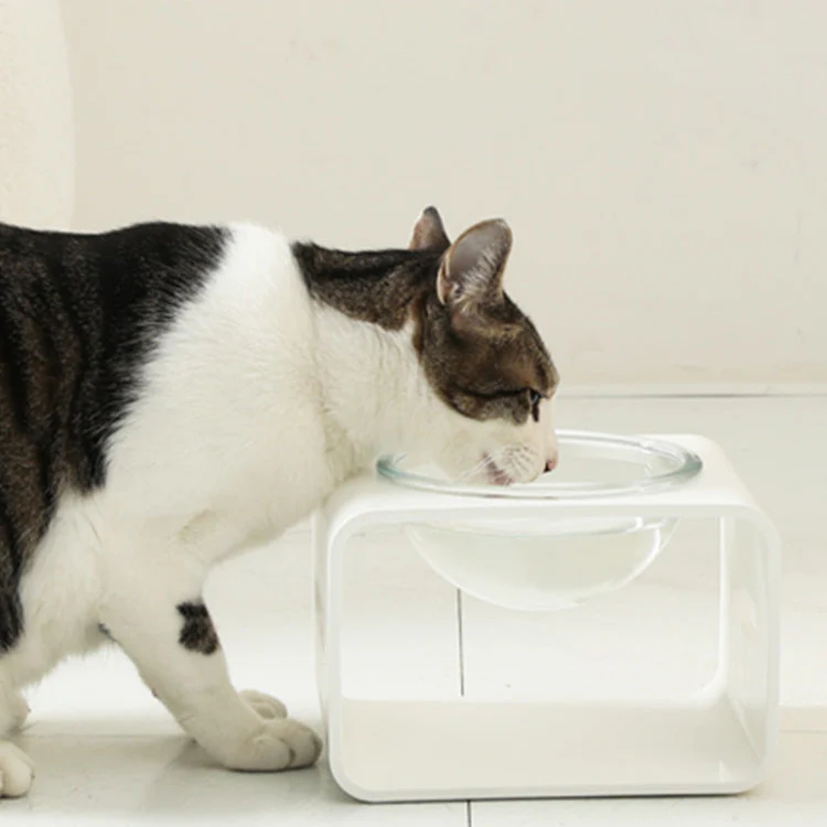 Moon Light Bowl - White