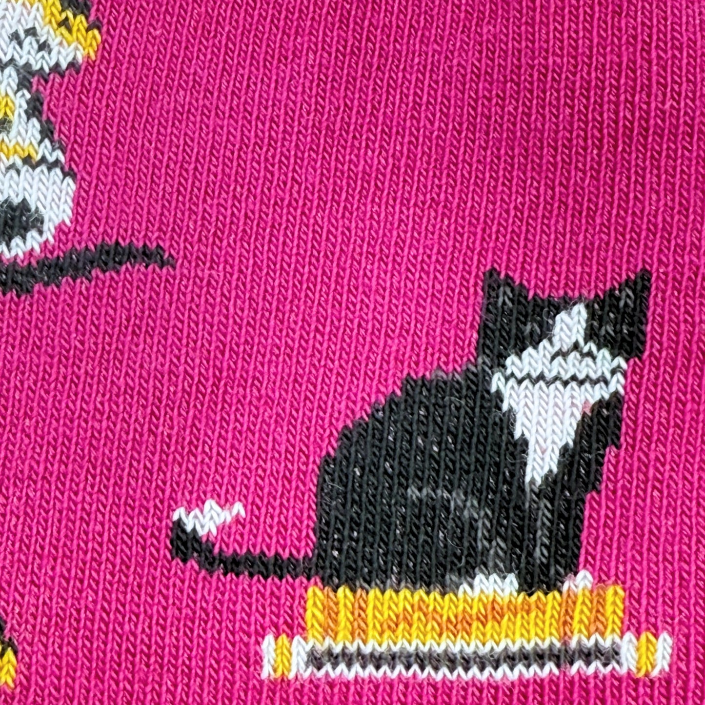 Kid's Cats Socks