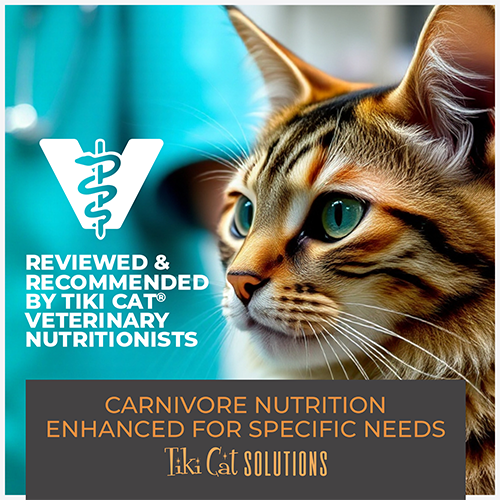 Tiki Cat® Solutions® Mobility Chicken Recipe in Broth Wet Cat Food Topper