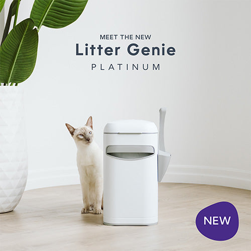 Litter Genie® Platinum Pail