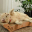 Premium Comfort Reversible Cat Bed Large (Oak)