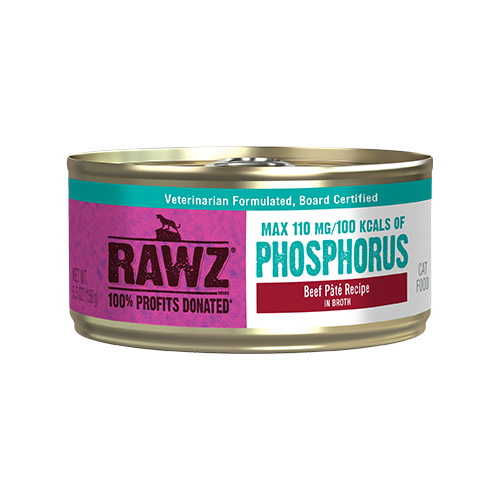 RAWZ® Phosphorus Beef Pâté Recipe in Broth Wet Cat Food 24 x 5.5oz