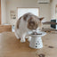 Extra Wide Raised Cat Food Bowl (Cat)