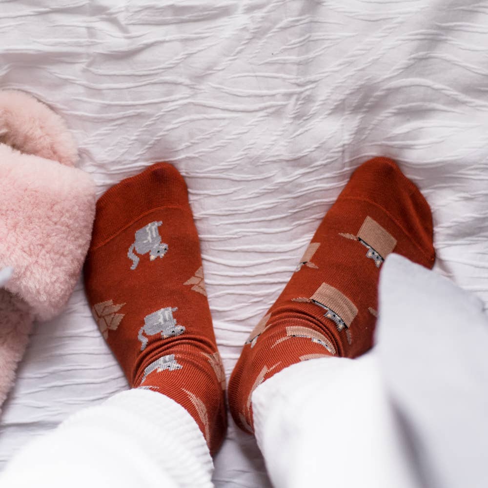 Women's Orange Cat & Box Socks