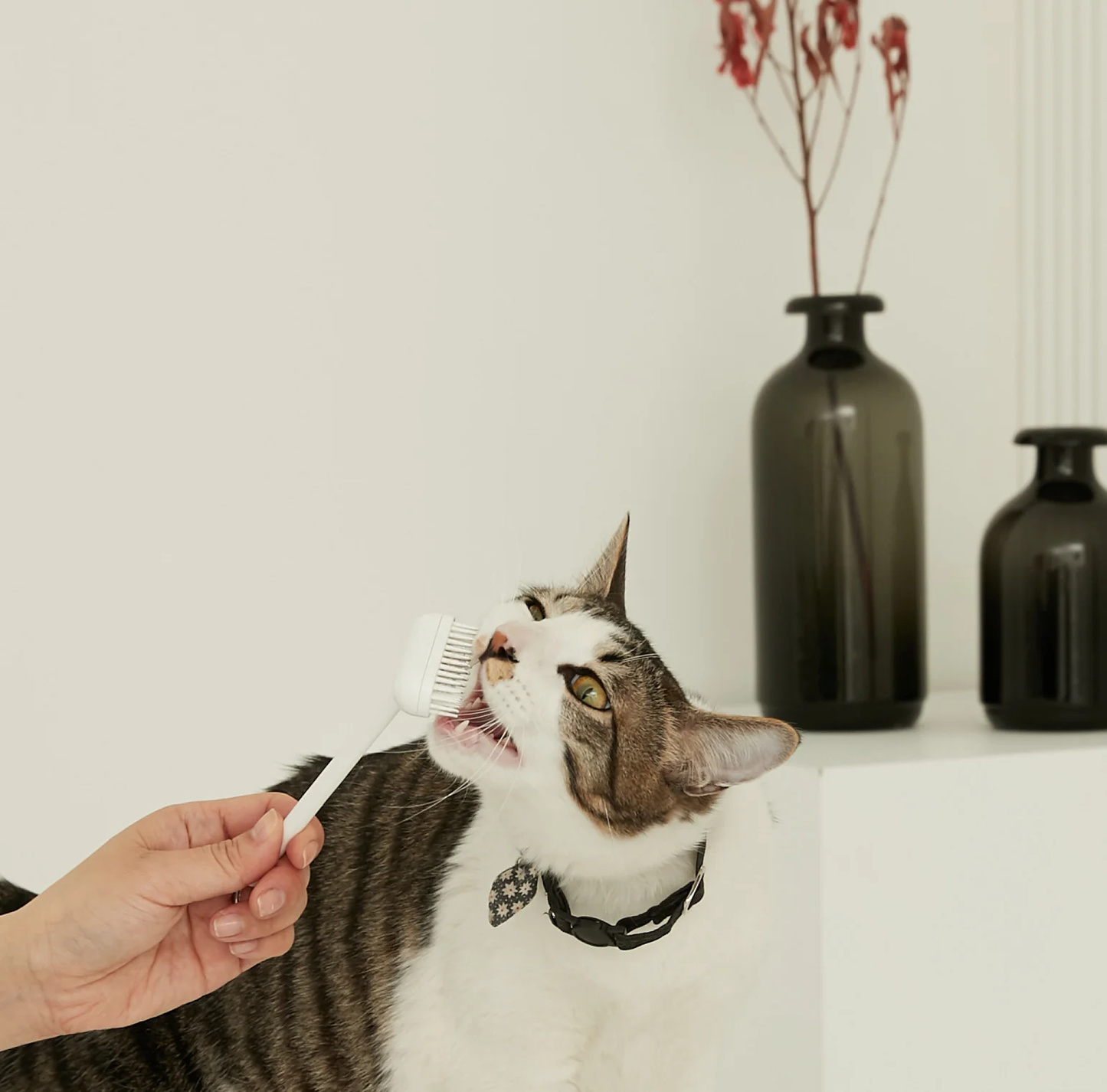 Katin Grooming Brush - Black (PC/ABS)