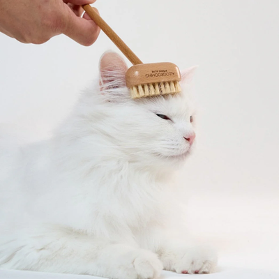 Allo Grooming Brush-Wood