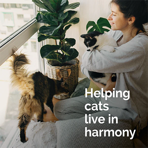Vetality® Harmony Pet™ Calming Spray for Cats 1.62 fl oz