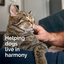 Vetality® Harmony Pet™ Calming Home Diffuser Refills for Cats (2 ct)