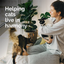 Vetality® Harmony Pet™ Calming Litter Box Diffuser