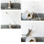 CATWANT Chirping Edition extra long cat teaser