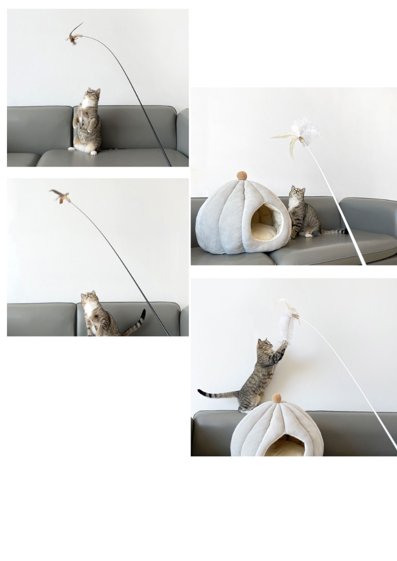 CATWANT Chirping Edition extra long cat teaser