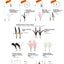 CATWANT Chirping Edition extra long cat teaser