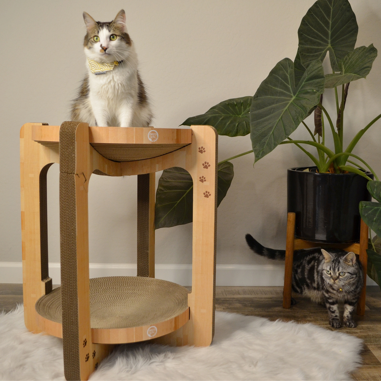 Cozy Cat Scratcher Tower XL (Oak)