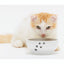 Anti-Spill Cat Food Bowl (Cat)