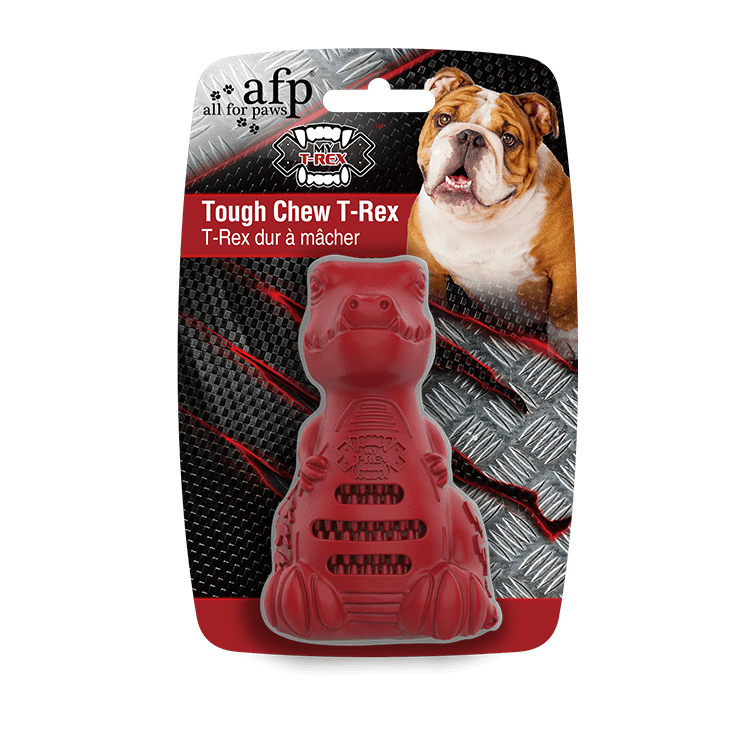 ALL FOR PAWS My T-Rex Tough Chew