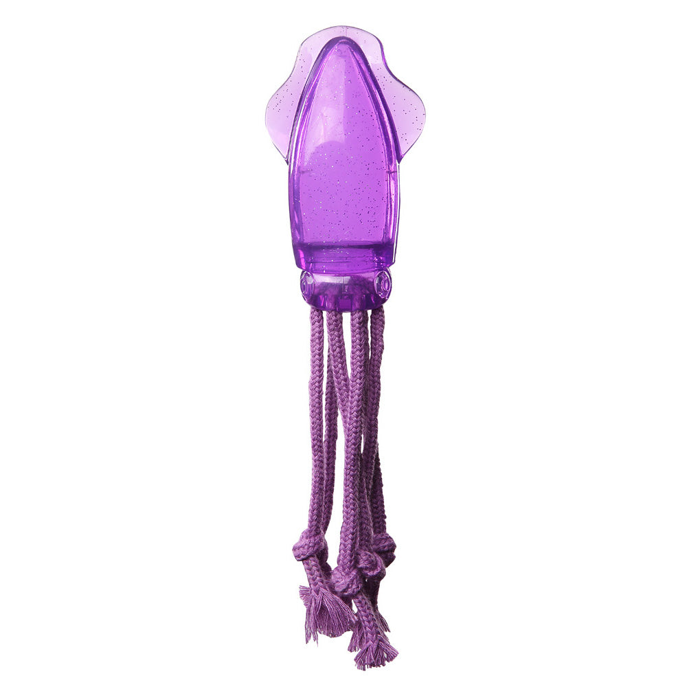 PAWISE Squid