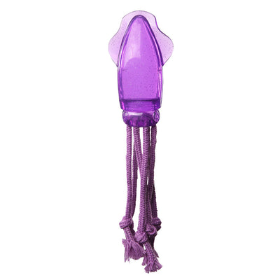 PAWISE Squid