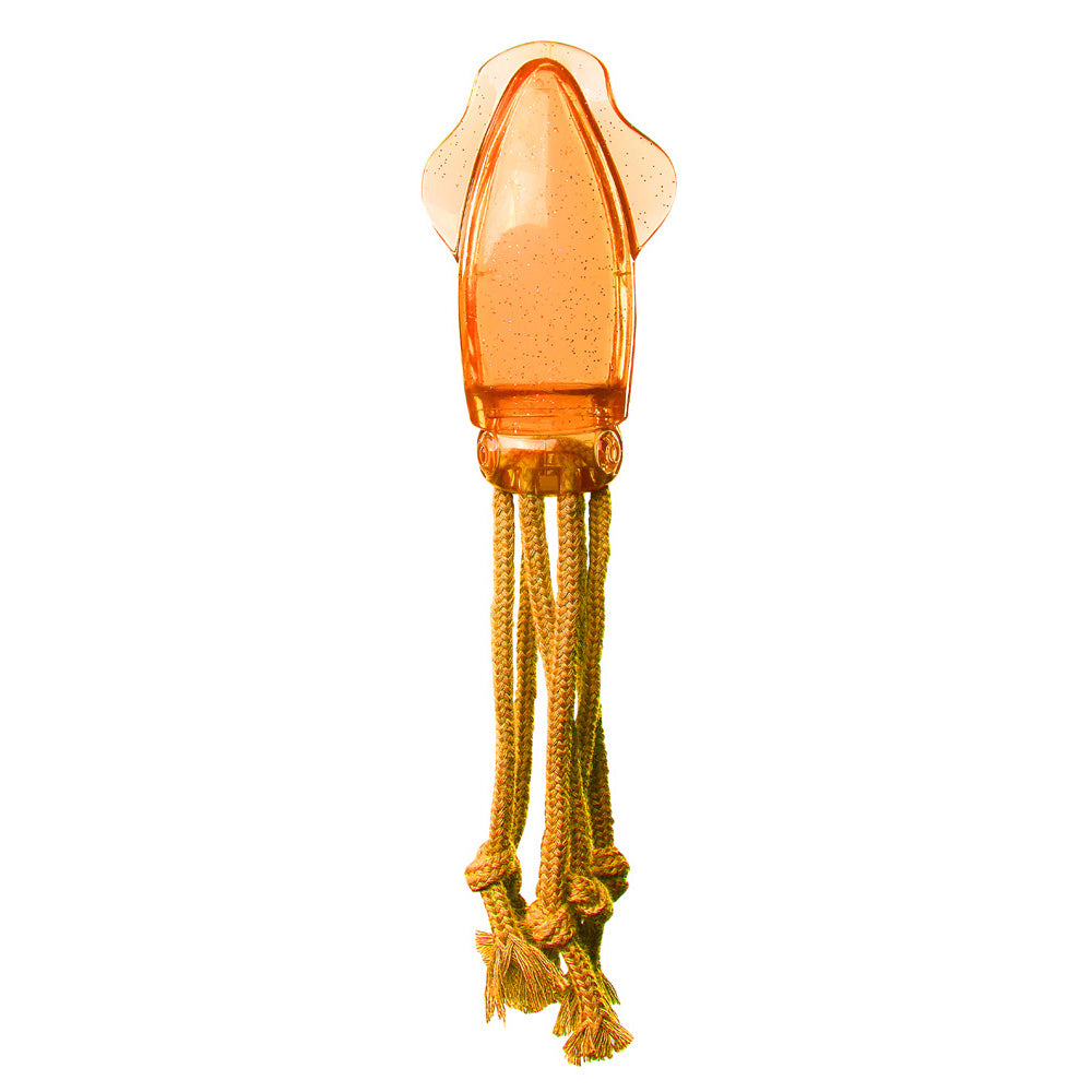 PAWISE Squid