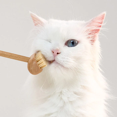 Allo Grooming Brush-Wood