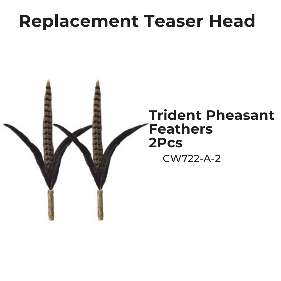 CATWANT Chirping Edition extra long cat teaser feather head