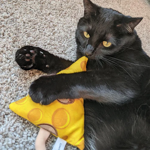 Meowijuana Get Cheezy Cheese & Mouse