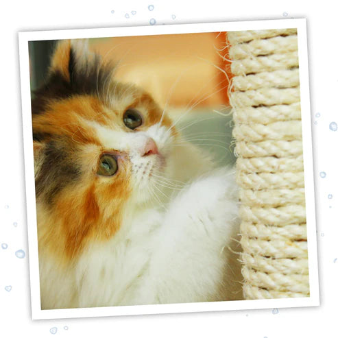 Meowijuana - Catnip Spray with Silvervine