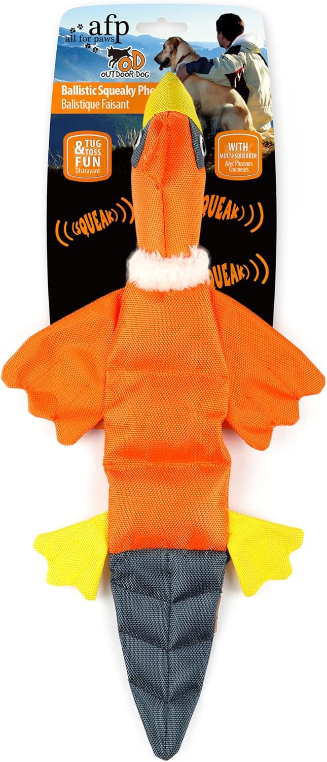 ALL FOR PAWS Outdoor Ballistic Quack