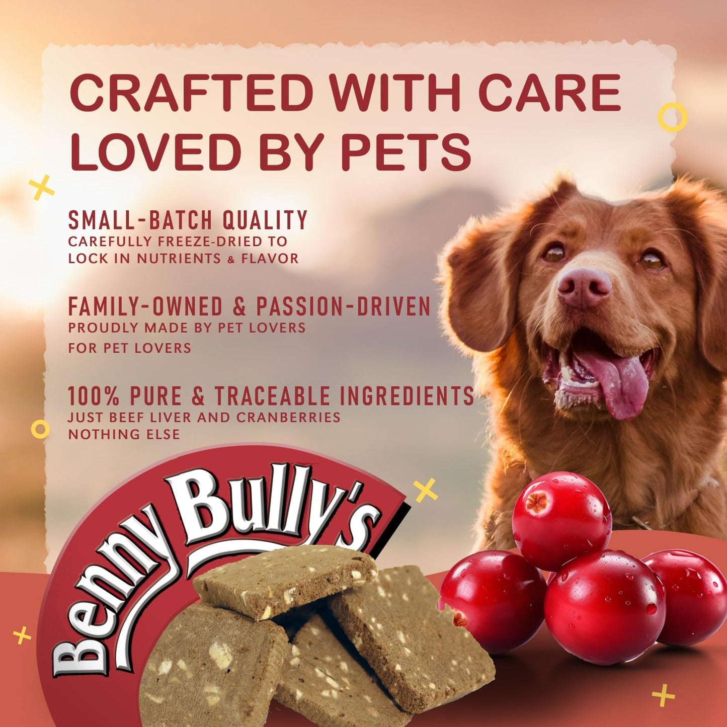 Benny Bully Beef Liver Plus Cranberry Cat 25g