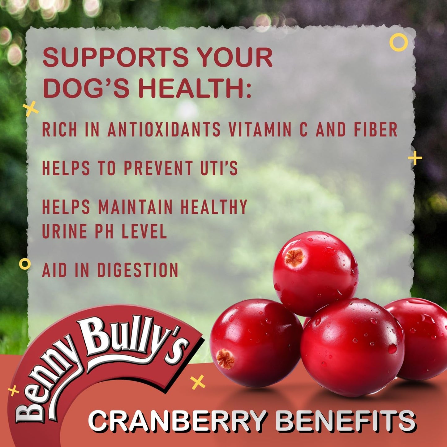 Benny Bully Beef Liver Plus Cranberry Cat 25g