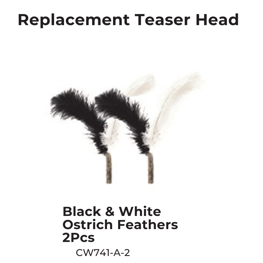 CATWANT Chirping Edition extra long cat teaser feather head