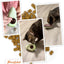 Meowijuana Knock n Nibble Treat Dispenser Avocado