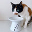 Extra Wide Raised Cat Food Bowl (Cat)