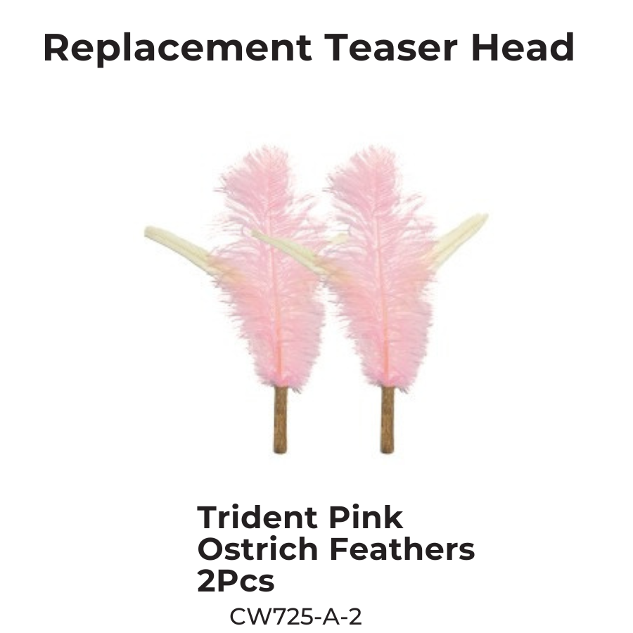CATWANT Chirping Edition extra long cat teaser feather head