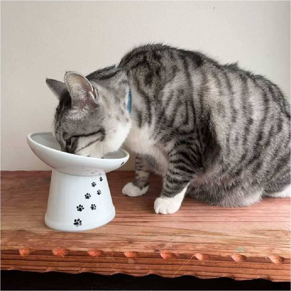 Tilted Stress Free Raised Cat Food Bowl