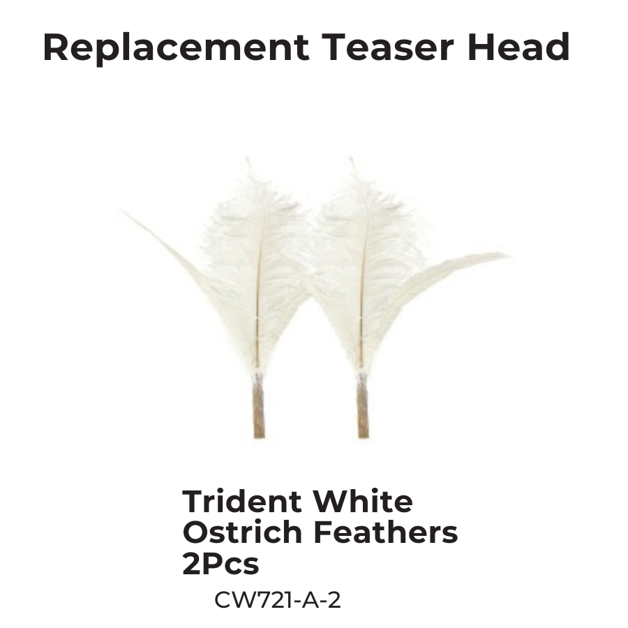 CATWANT Chirping Edition extra long cat teaser feather head