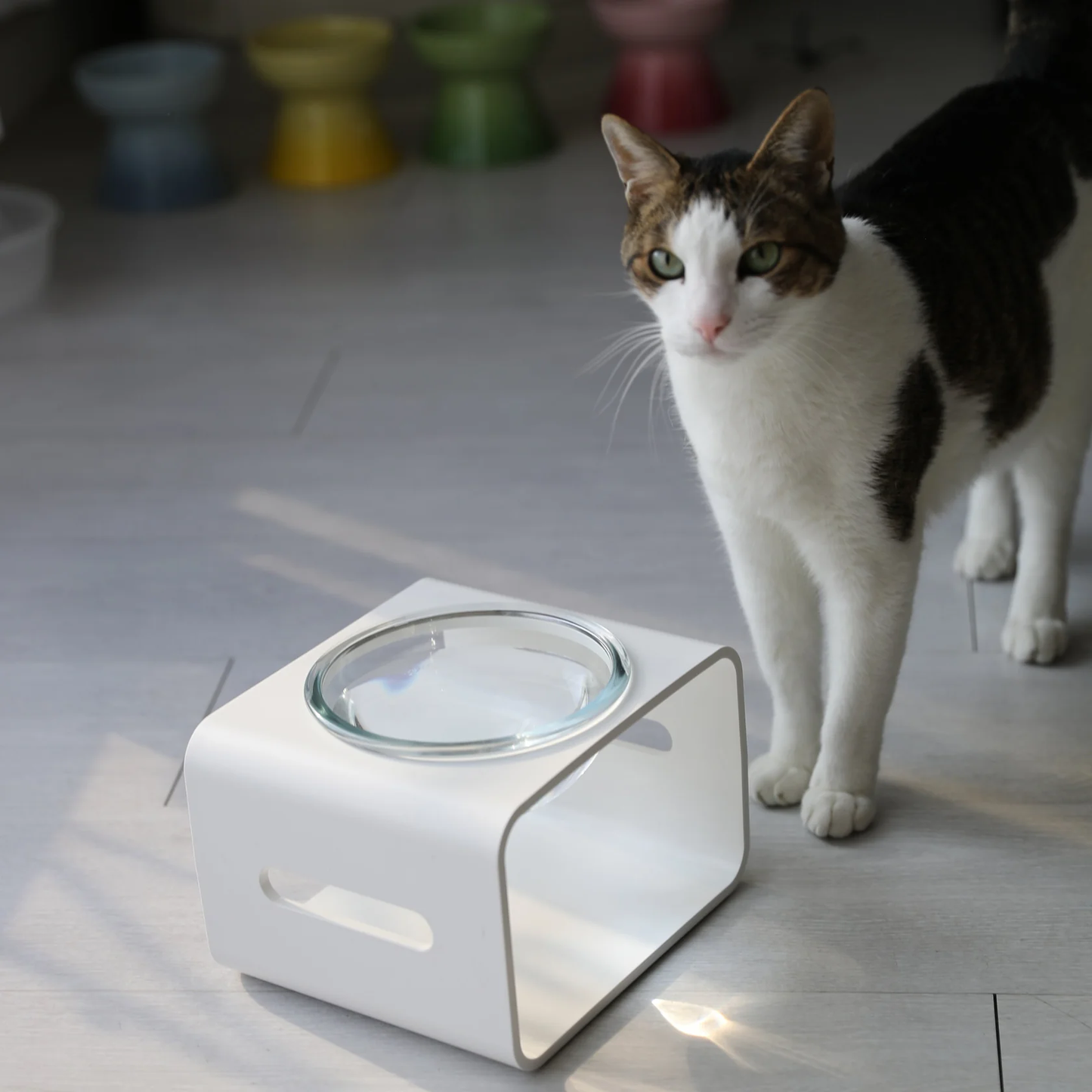 Moon Light Bowl - White