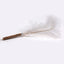 Cat Love Jumbo Feather Wand - Display of 24 Units
