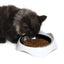 Catit PIXI Dish - White