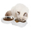 Catit PIXI Double Dish - White