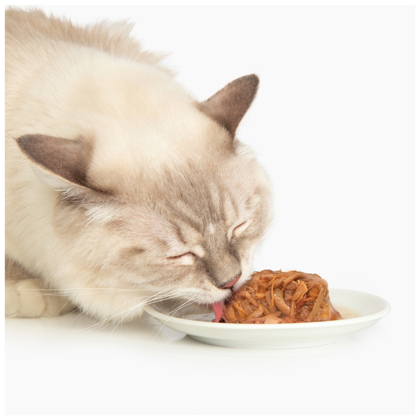 Catit Chicken Dinner with Beef & Pumpkin - 75 g (2.65 oz)